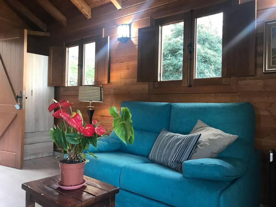 Cozy Mountain Chalet La Orotava Extérieur photo